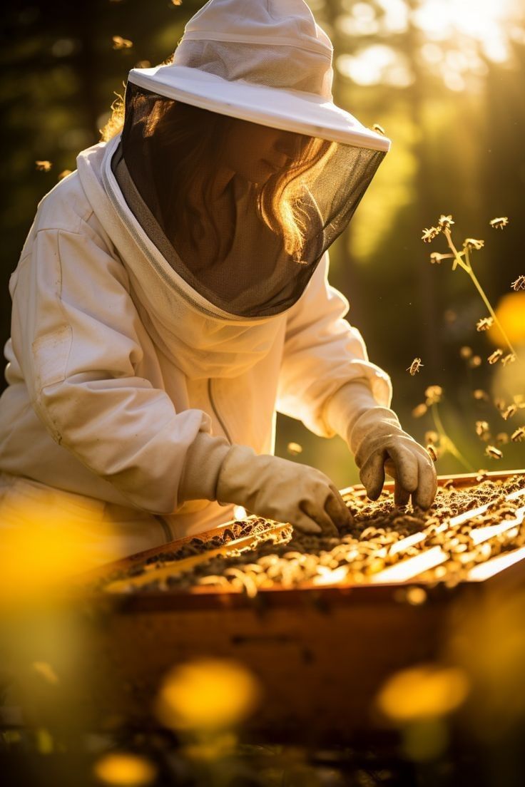 BEE HIVES