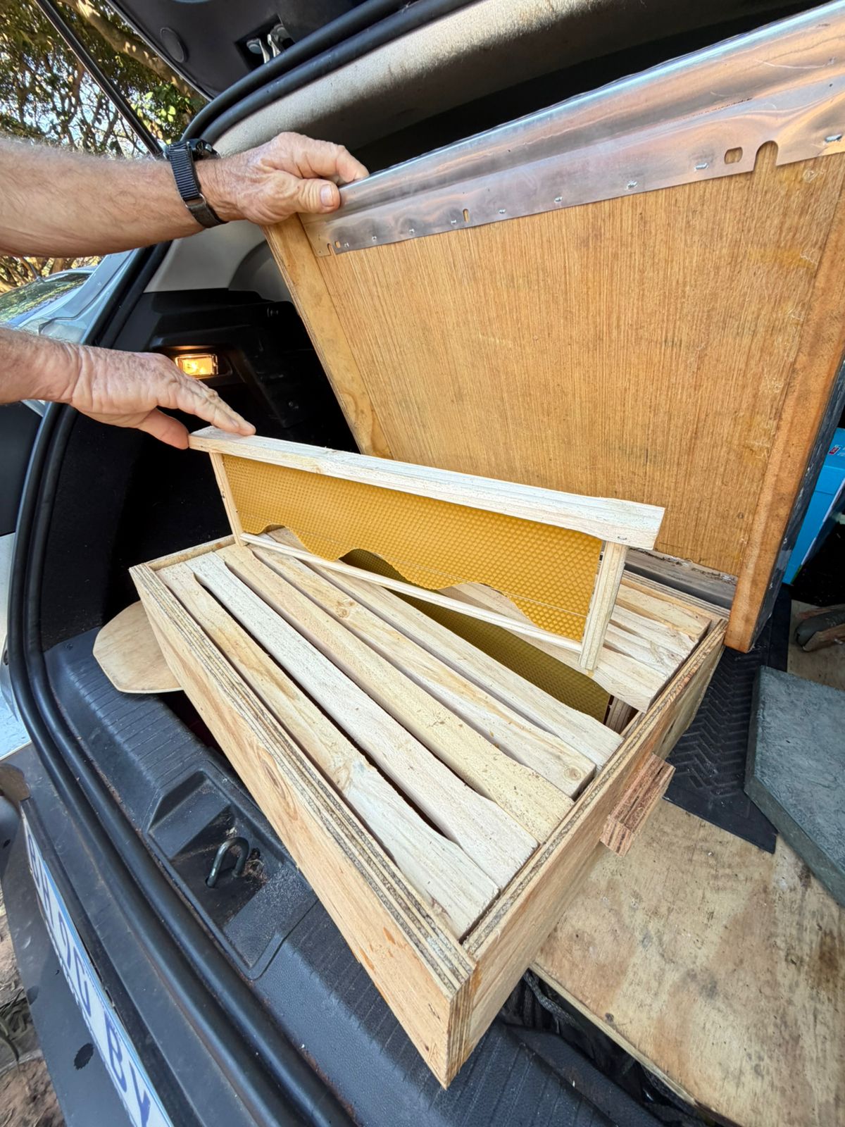 BEE HIVES