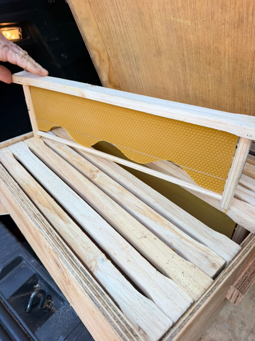 BEE HIVES
