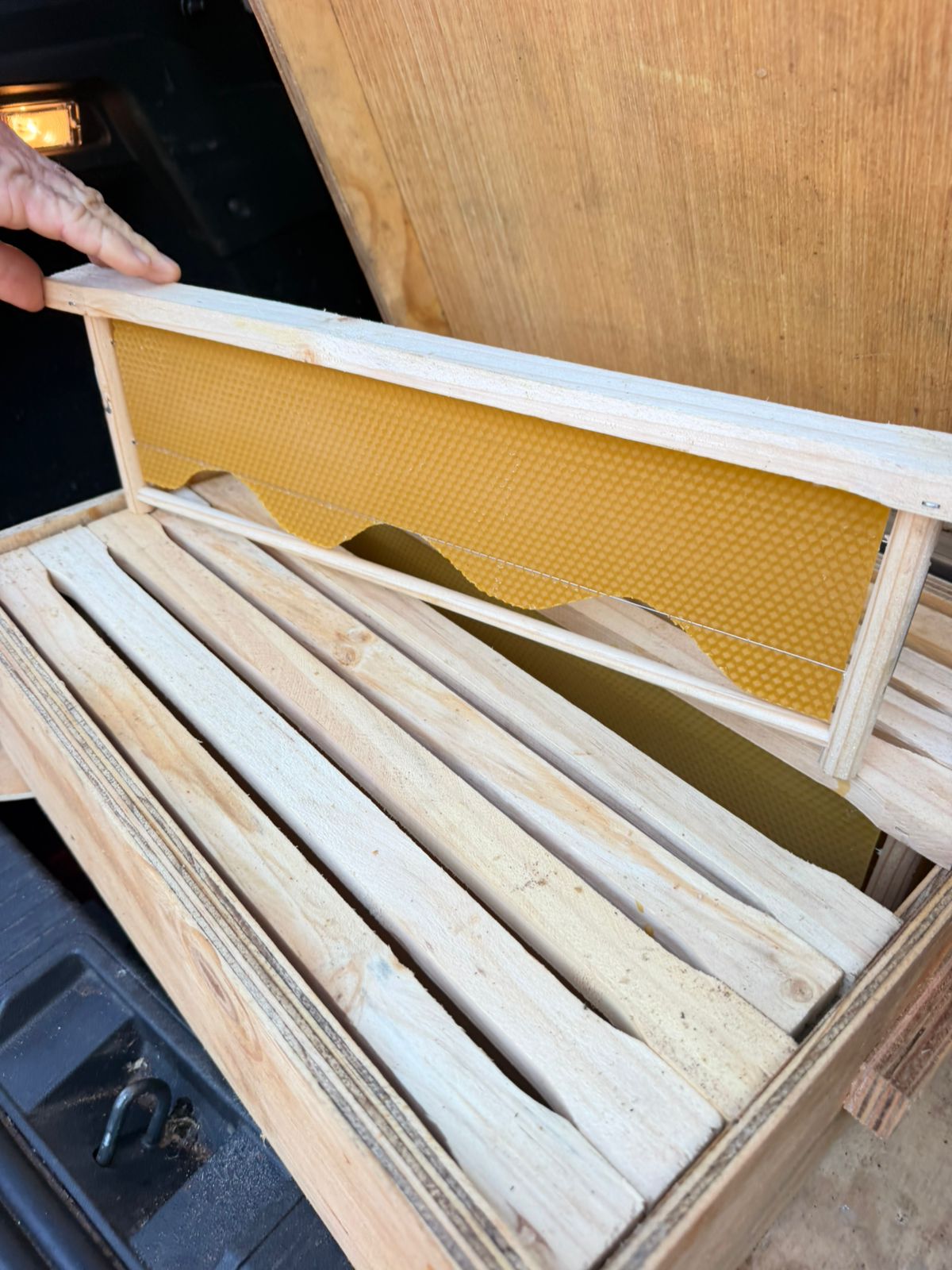 BEE HIVES